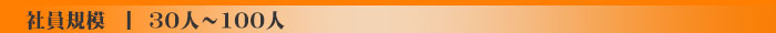30人～100人