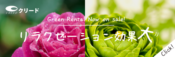 有限会社 クリード