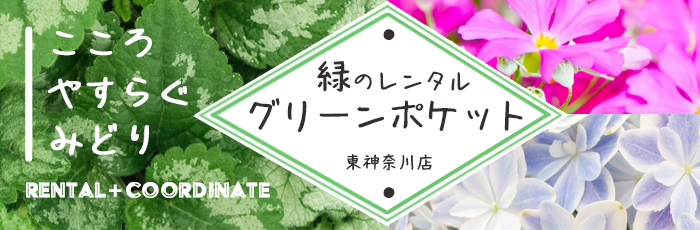 株式会社グリーンレンタル